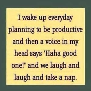 Meet your Posher, Debie